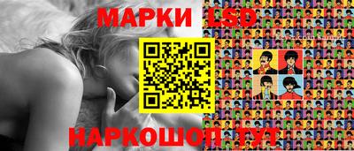 СК Дубна