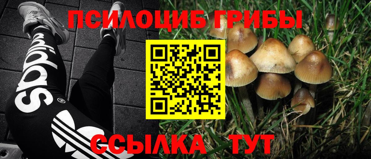 Минусинск  Галлюциногенные грибы MAGIC MUSHROOMS  купить наркотик  Вход с VPN 
